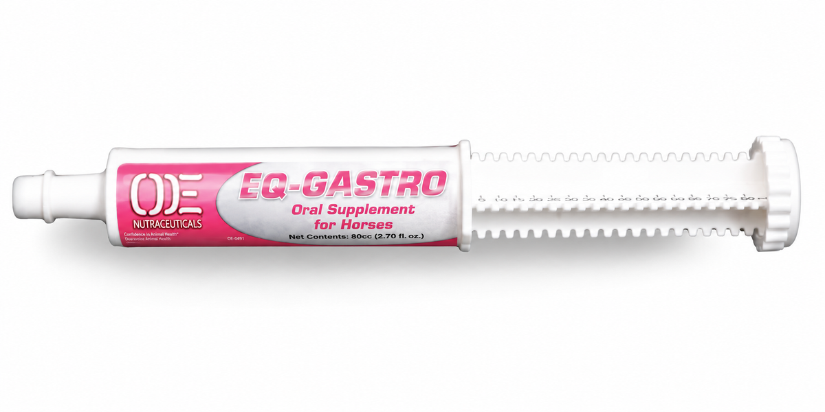 EQ-GASTRO