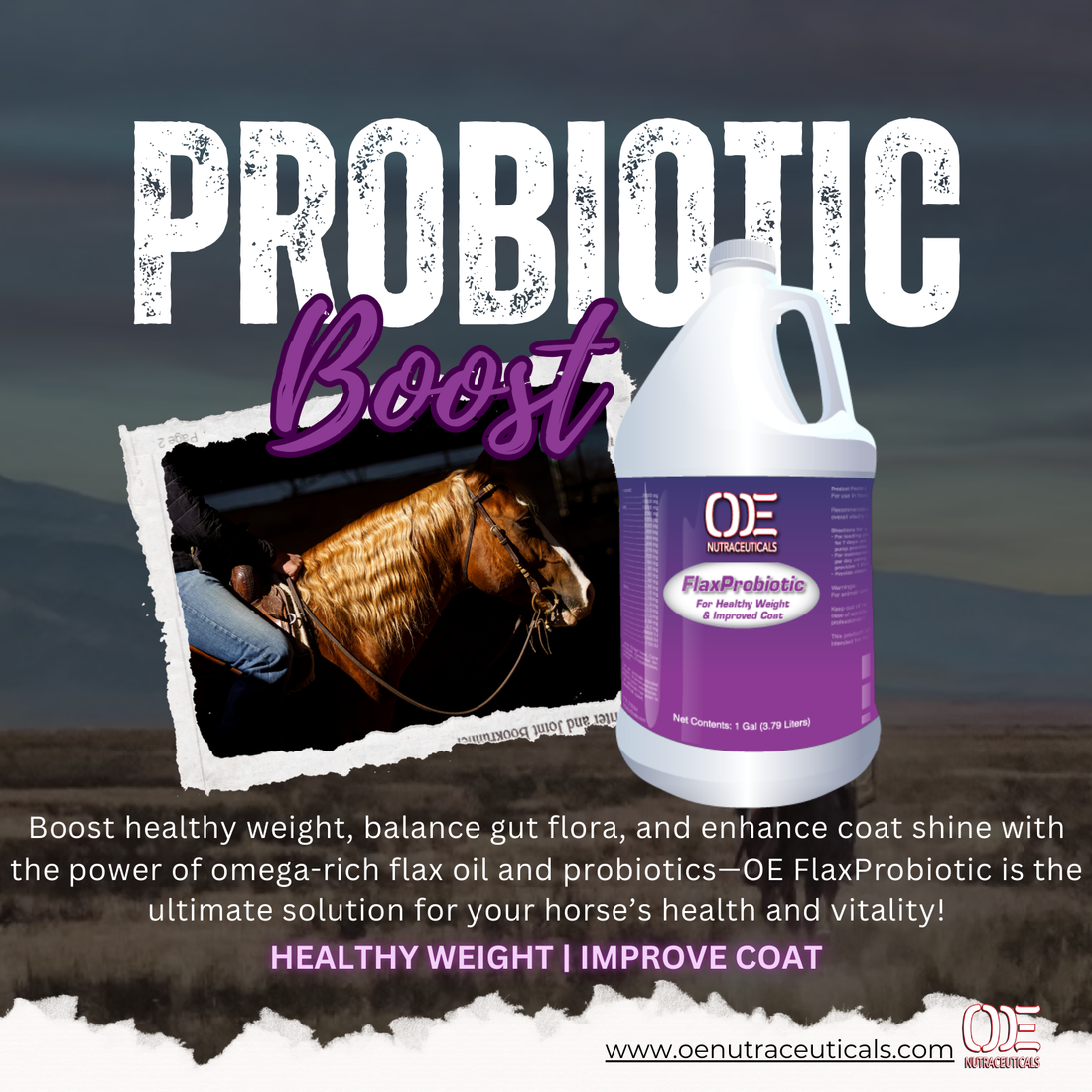 FlaxProbiotic