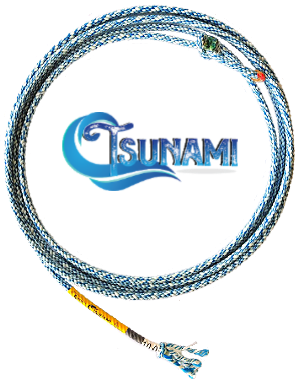 TSUNAMI